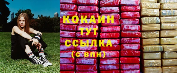 стафф Елабуга