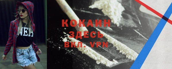 прущий лед Ельня