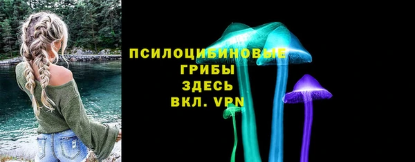 альфа пвп Елизово