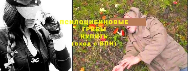 альфа пвп Елизово