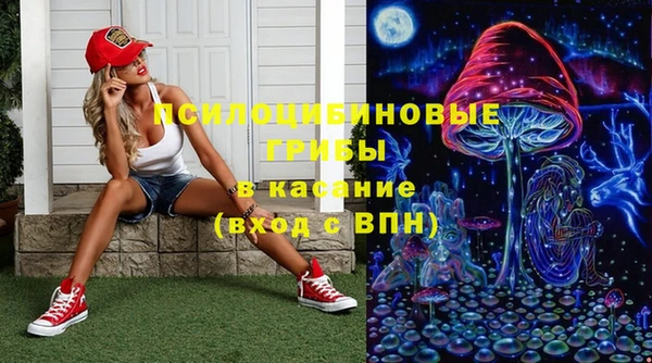 альфа пвп Елизово